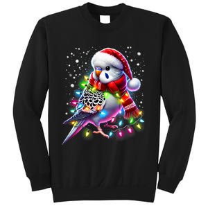 Funny Parakeet Christmas Tree Lights Xmas Parrot Lover Sweatshirt