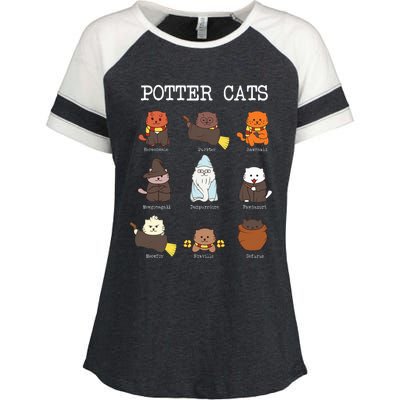 funny Potter Cats Gifts for Cat Lovers Enza Ladies Jersey Colorblock Tee