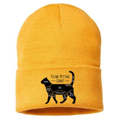 Feline Petting Chart Cat Owner Lover Sustainable Knit Beanie