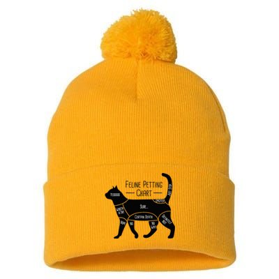 Feline Petting Chart Cat Owner Lover Pom Pom 12in Knit Beanie