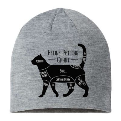 Feline Petting Chart Cat Owner Lover Sustainable Beanie