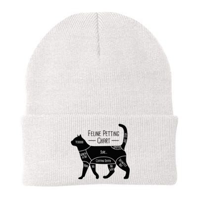 Feline Petting Chart Cat Owner Lover Knit Cap Winter Beanie