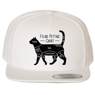 Feline Petting Chart Cat Owner Lover Wool Snapback Cap