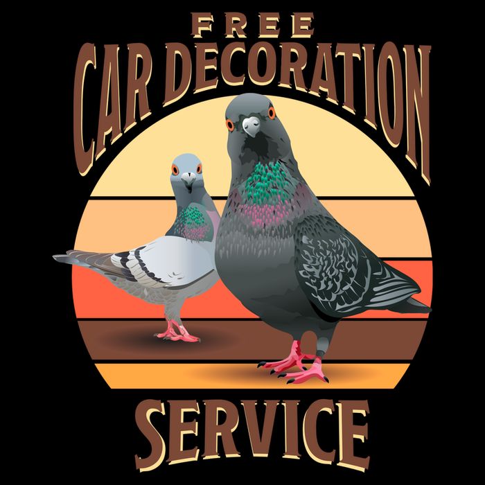 Funny Pigeon Car Decoration Service Mug