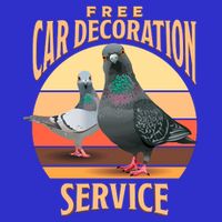 Funny Pigeon Car Decoration Service T-Shirt