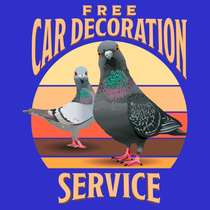 Funny Pigeon Car Decoration Service T-Shirt