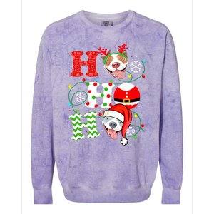 Funny Pitbull Christmas Ho Ho Ho Gift Dog Lover Xmas Long Sleeve Colorblast Crewneck Sweatshirt