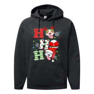 Funny Pitbull Christmas Ho Ho Ho Gift Dog Lover Xmas Long Sleeve Performance Fleece Hoodie