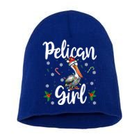 Funny Pelican Christmas Santa Hat Lights Snowflakes Gift Short Acrylic Beanie