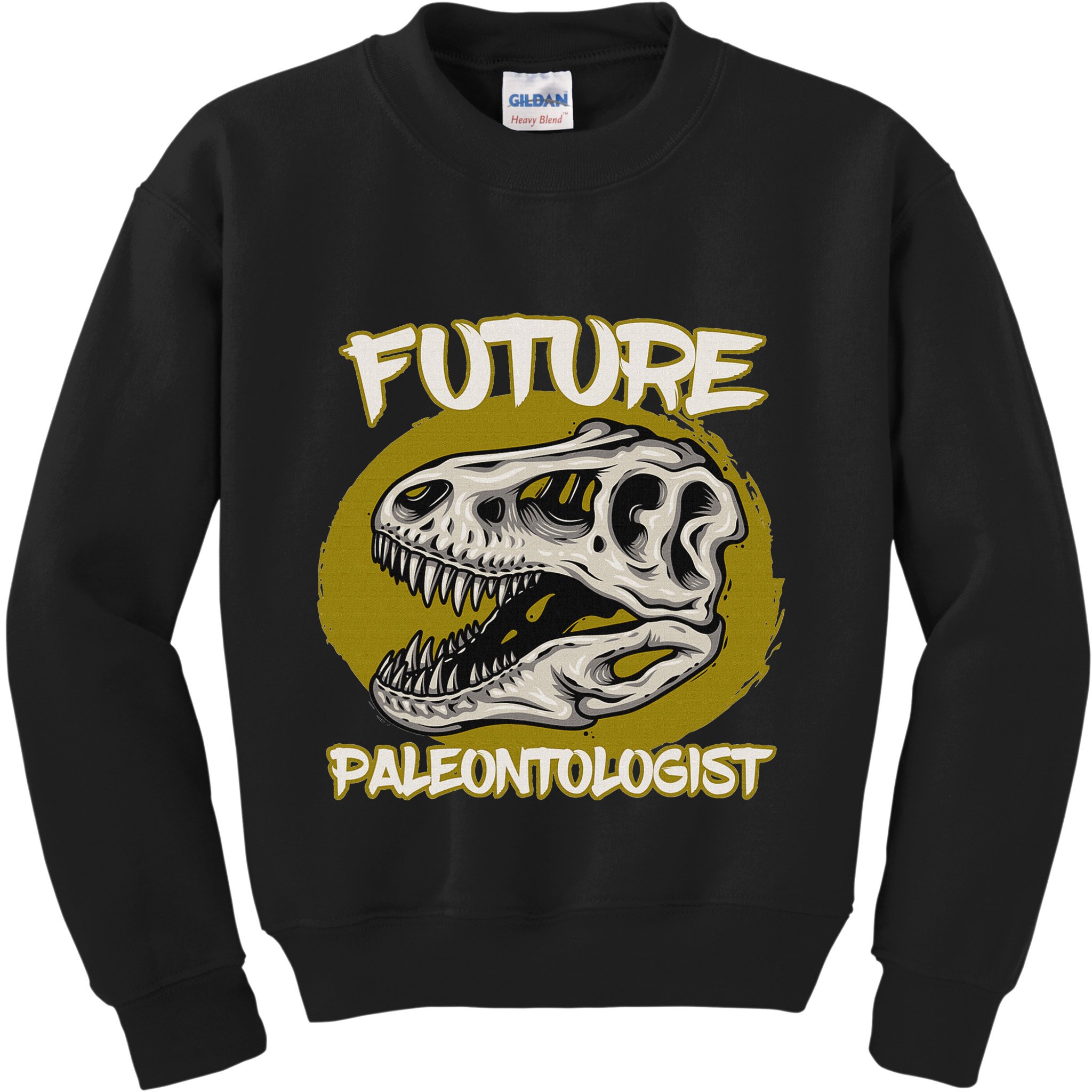 Future Paleontologist Cute Gifts For Dino Explorer Kids Sweatshirt