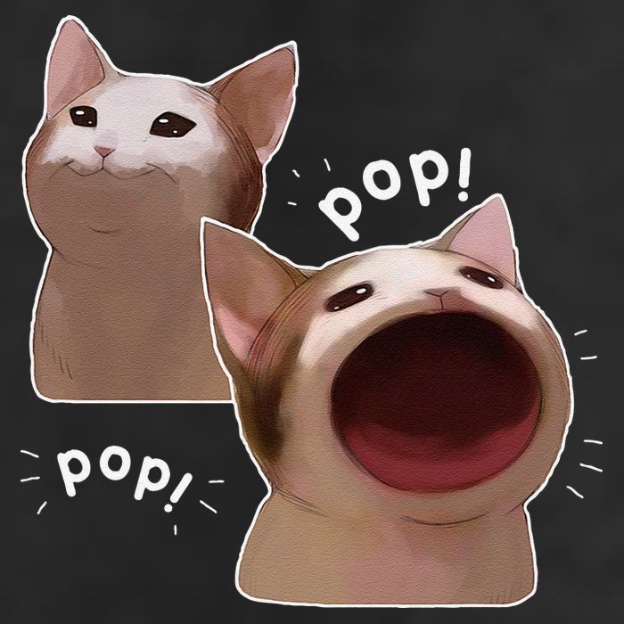 Funny Pop Cat Meme 11oz C Handle Ceramic Mug