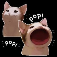 Funny Pop Cat Meme Youth Performance Sprint T-Shirt