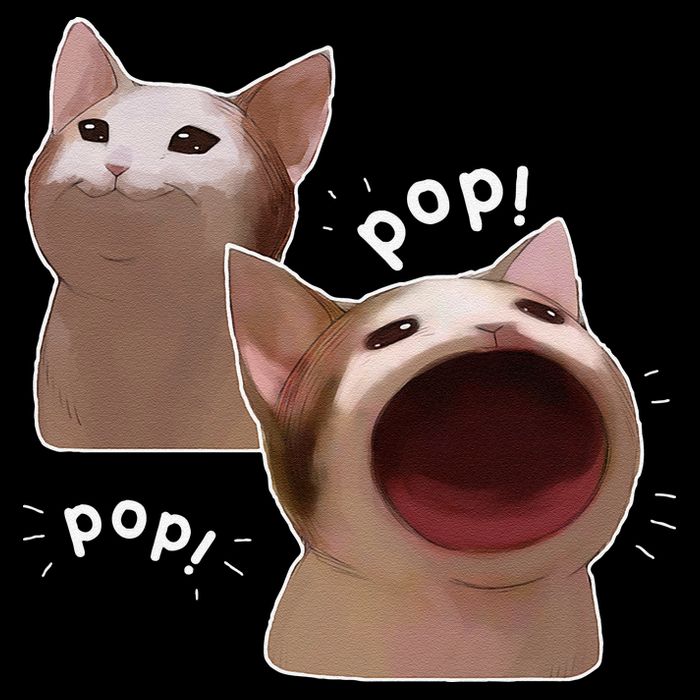 Funny Pop Cat Meme Youth Performance Sprint T-Shirt