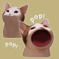 Funny Pop Cat Meme Button