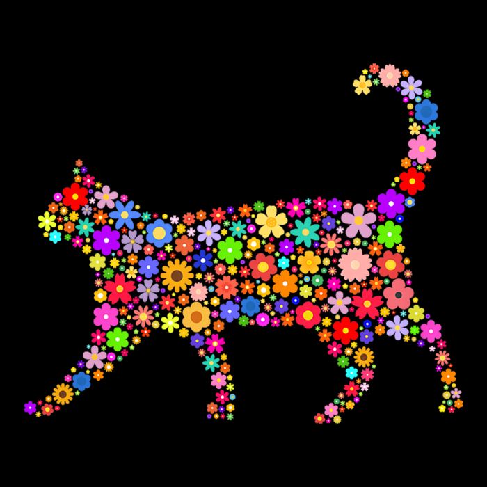 Floral Pattern Cat  Floral Cat Silhouette T-Shirt