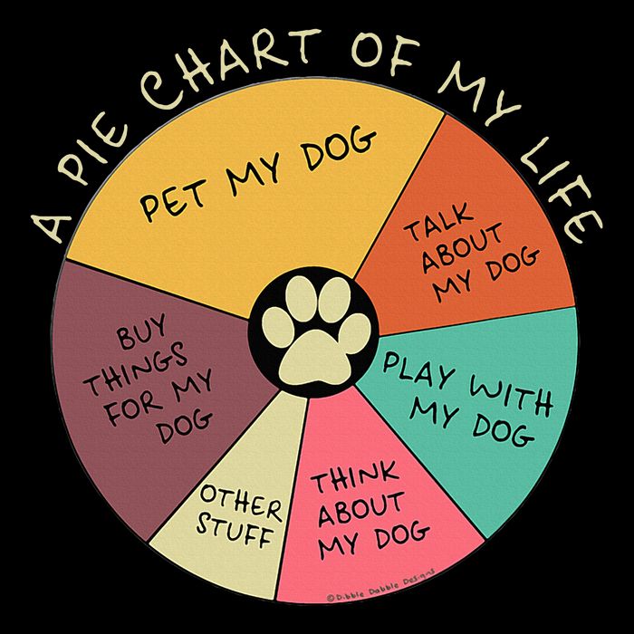 Funny Pie Chart Day In The Life Of A Dog Lover Flat Bill Trucker Hat