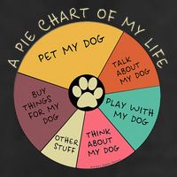 Funny Pie Chart Day In The Life Of A Dog Lover Trucker Hat