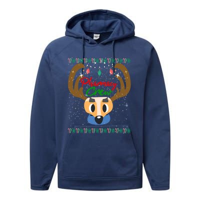 Funny Pharmacy Crew Christmas Pharmacist Reindeer Xmas Gift Performance Fleece Hoodie