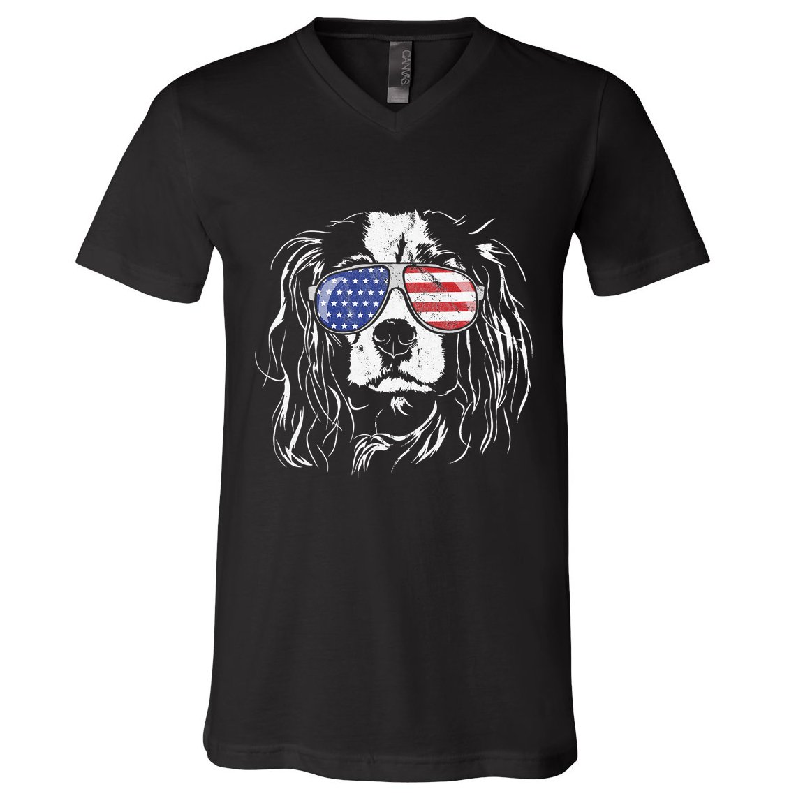 Funny Proud Cavalier King Charles Spaniel Patriotic Dog V-Neck T-Shirt