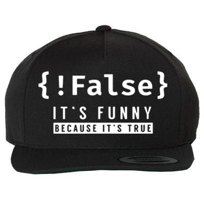 False Programmer Coding Code Coder Software Wool Snapback Cap