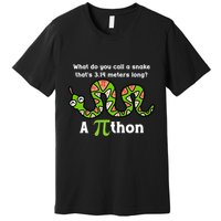 Funny Pi Day 3.14 Pithon Python Math Teachers Students Joke .Png Premium T-Shirt