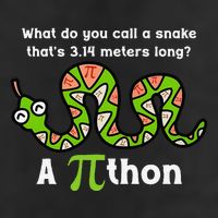 Funny Pi Day 3.14 Pithon Python Math Teachers Students Joke .Png 25L Jumbo Tote