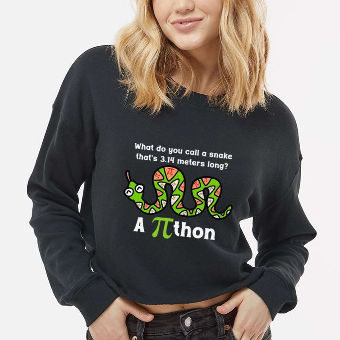 Funny Pi Day 3.14 Pithon Python Math Teachers Students Joke .Png Cropped Pullover Crew