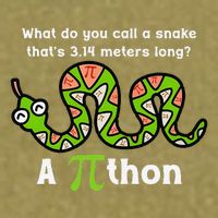 Funny Pi Day 3.14 Pithon Python Math Teachers Students Joke .Png Garment-Dyed Women's Muscle Tee