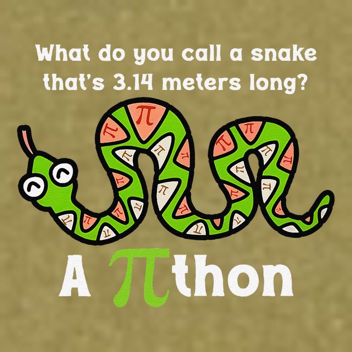 Funny Pi Day 3.14 Pithon Python Math Teachers Students Joke .Png Garment-Dyed Women's Muscle Tee