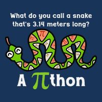Funny Pi Day 3.14 Pithon Python Math Teachers Students Joke .Png Infant Baby Jersey Bodysuit