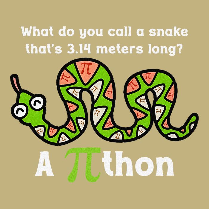 Funny Pi Day 3.14 Pithon Python Math Teachers Students Joke .Png Performance Shirt