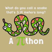 Funny Pi Day 3.14 Pithon Python Math Teachers Students Joke .Png Magnet