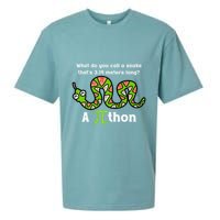 Funny Pi Day 3.14 Pithon Python Math Teachers Students Joke .Png Sueded Cloud Jersey T-Shirt