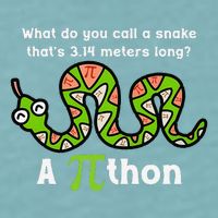 Funny Pi Day 3.14 Pithon Python Math Teachers Students Joke .Png Sueded Cloud Jersey T-Shirt