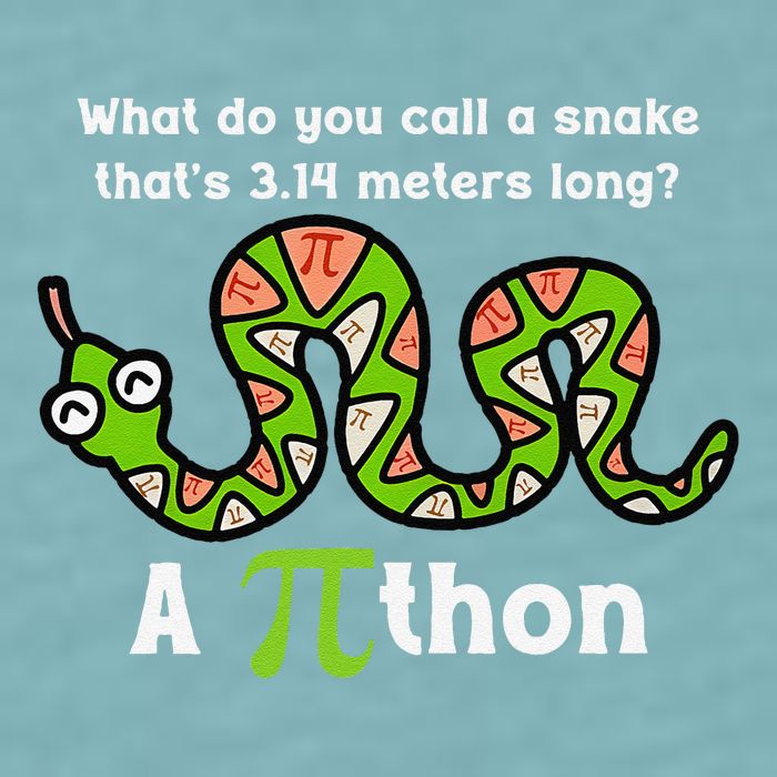 Funny Pi Day 3.14 Pithon Python Math Teachers Students Joke .Png Sueded Cloud Jersey T-Shirt
