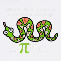 Funny Pi Day 3.14 Pithon Python Math Teachers Students Joke .Png Garment-Dyed Sweatshirt