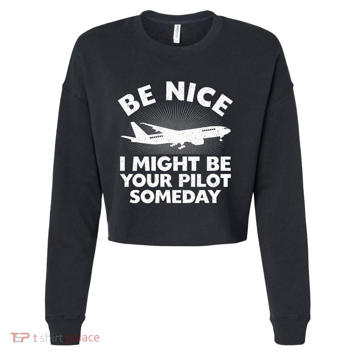 Funny Pilot Design Aviation Airplane Pilot Cropped Pullover Crew