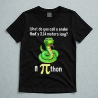 Funny Pi Day Puns Pithon Math Teacher Jokes T-Shirt