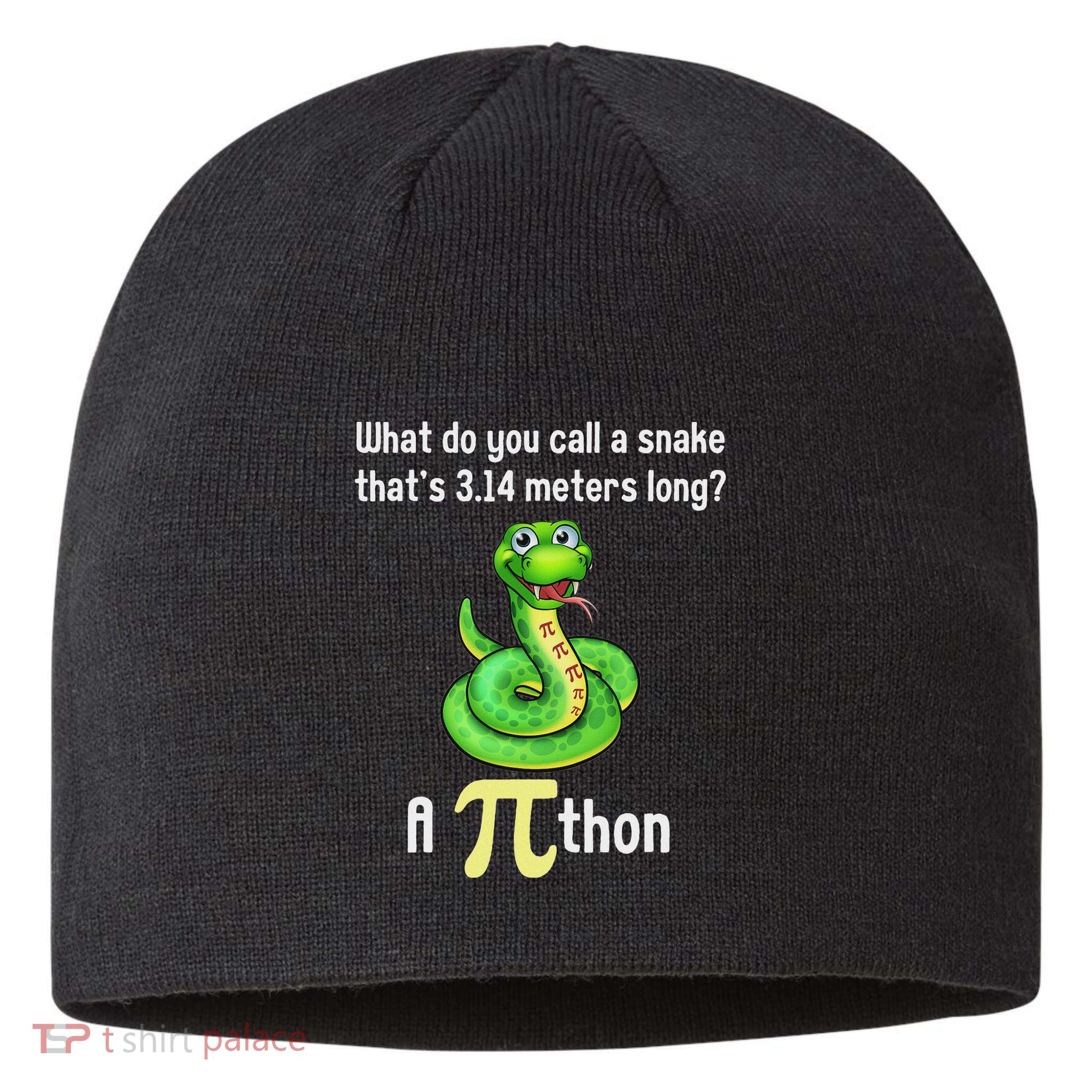 Funny Pi Day Puns Pithon Math Teacher Jokes Sustainable Beanie