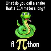 Funny Pi Day Puns Pithon Math Teacher Jokes 16 in Basic Backpack