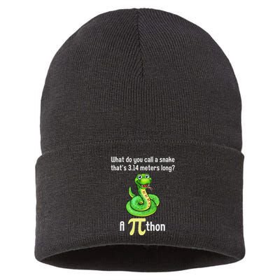 Funny Pi Day Puns Pithon Math Teacher Jokes Sustainable Knit Beanie