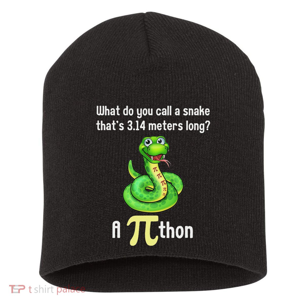Funny Pi Day Puns Pithon Math Teacher Jokes Short Acrylic Beanie