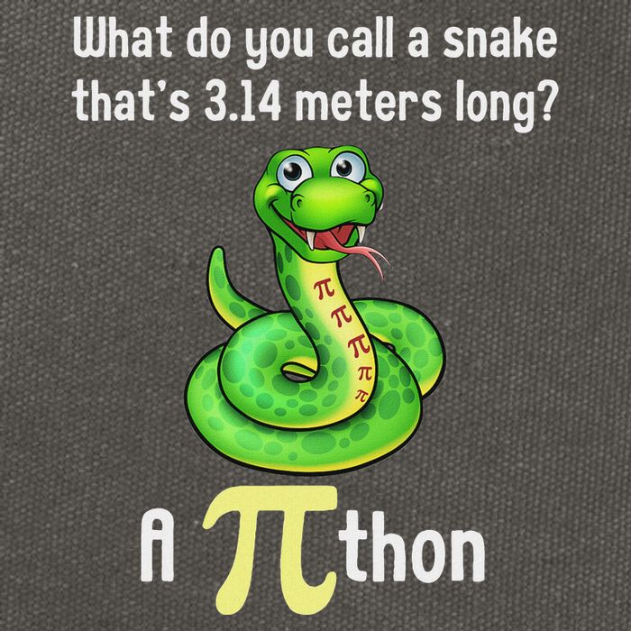 Funny Pi Day Puns Pithon Math Teacher Jokes Cotton Canvas Backpack