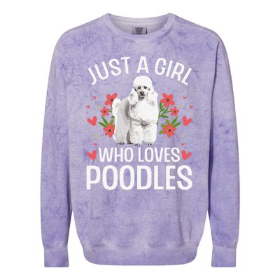 Funny Poodle Design For Standard Poodle Lovers Colorblast Crewneck Sweatshirt