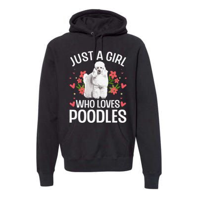 Funny Poodle Design For Standard Poodle Lovers Premium Hoodie