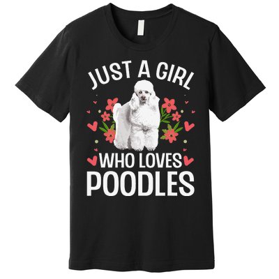 Funny Poodle Design For Standard Poodle Lovers Premium T-Shirt