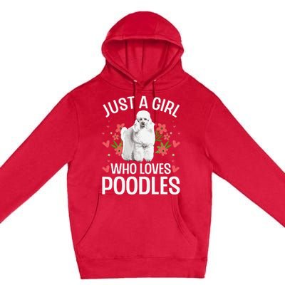 Funny Poodle Design For Standard Poodle Lovers Premium Pullover Hoodie