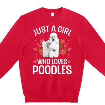 Funny Poodle Design For Standard Poodle Lovers Premium Crewneck Sweatshirt