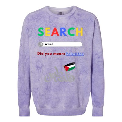 Free Palestine Did You Mean Palestine Colorblast Crewneck Sweatshirt