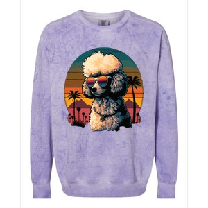 Funny Poodle Dog Miniature Poodle Toy Poodle Retro Sunset Colorblast Crewneck Sweatshirt